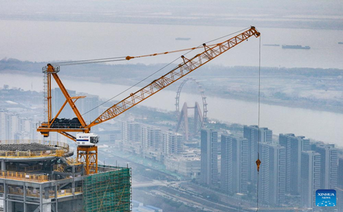 Tower Crane Institute